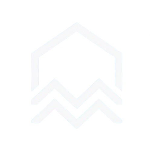 Suiet Logo